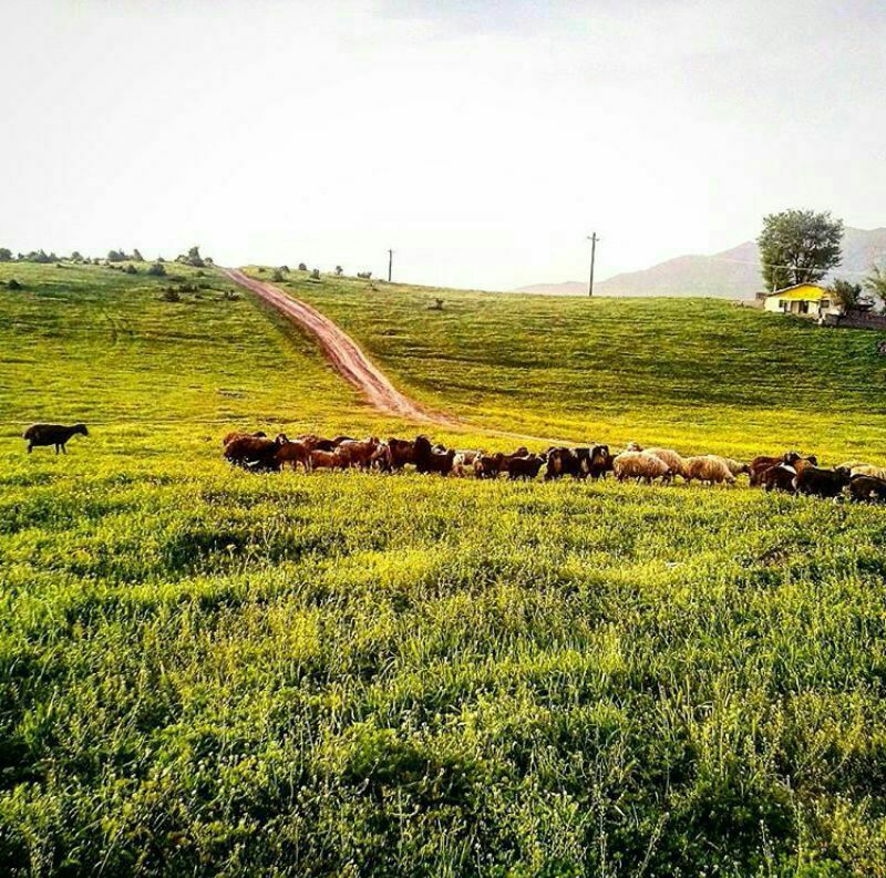 رستم آباد گیلان، رستم آباد، رستم آباد رودبار، گردشگری رستم آباد، جاذبه های رستم آباد، طبیعت گردی رستم آباد گیلان، مناطق دیدنی رستم آباد، جاهای دیدنی رستم آباد گیلان